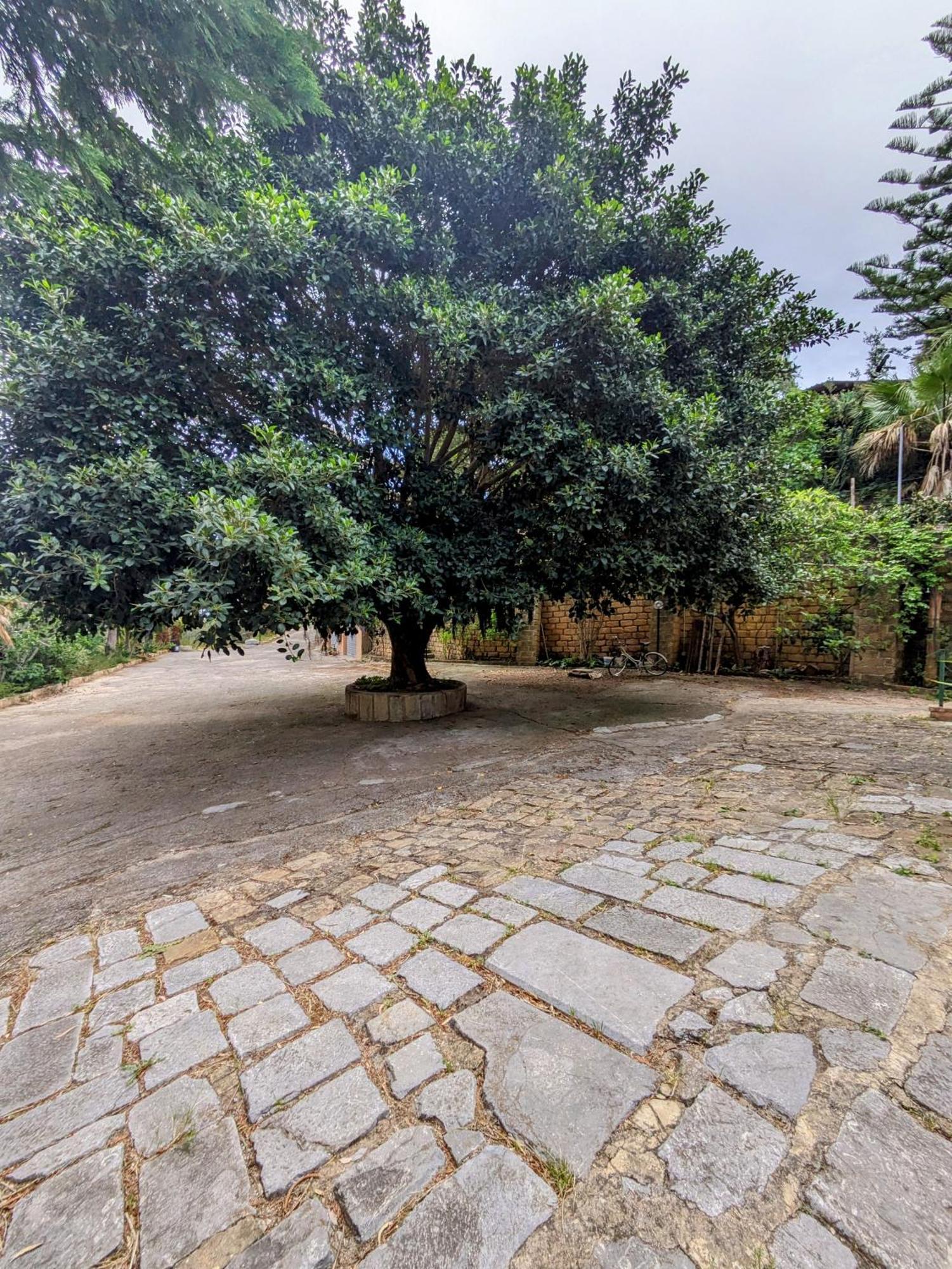Apartmán Terra Mia Cefalù Exteriér fotografie